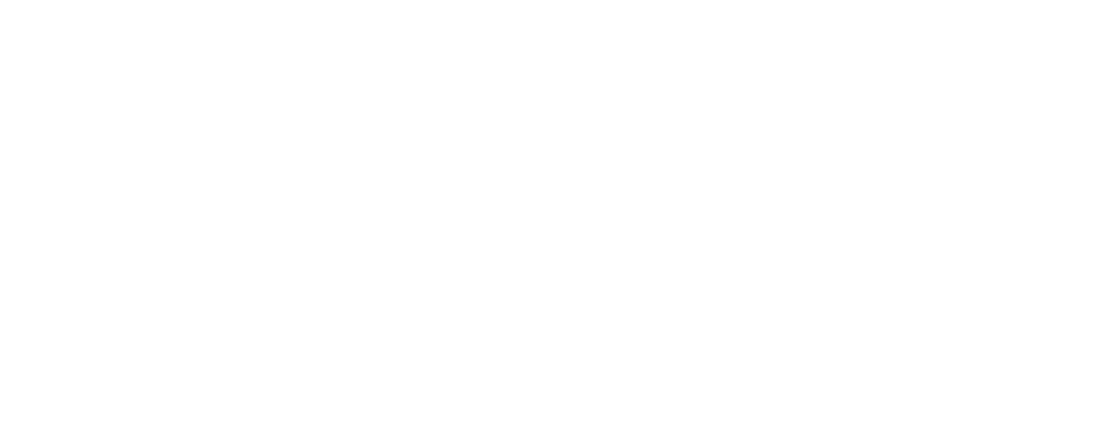 rocky mountain insurance logo